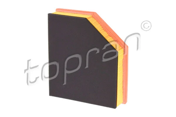 Air Filter (600 638)