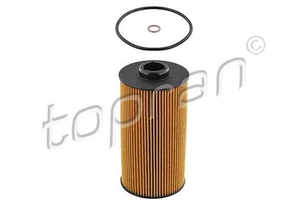 Oil Filter (500 917)