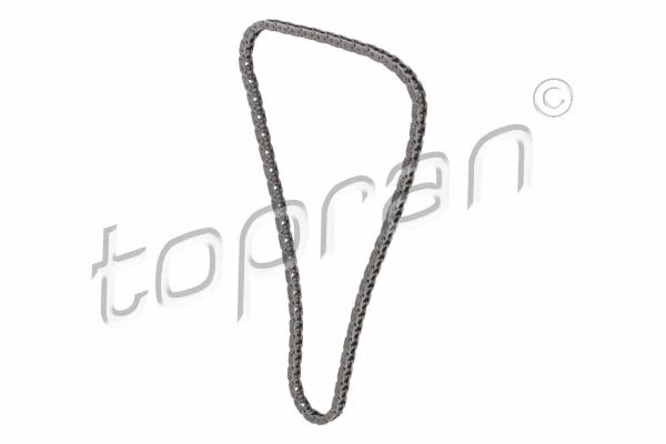 Timing Chain (116 748)