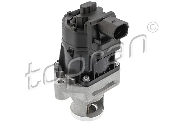 EGR Valve (639 194)