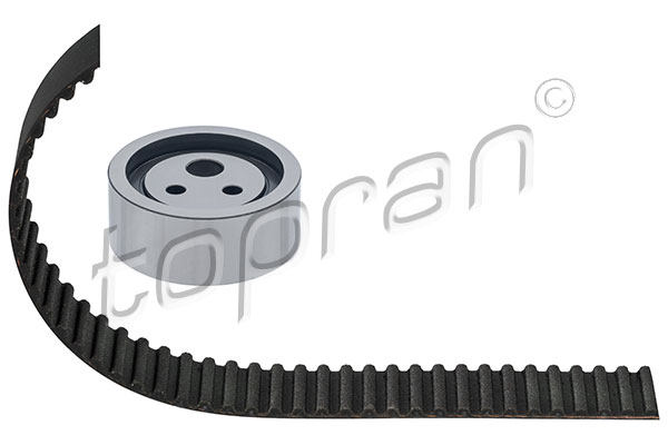Timing Belt Kit (700 199)