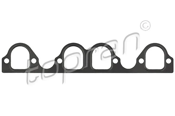 Gasket, intake manifold (100 320)