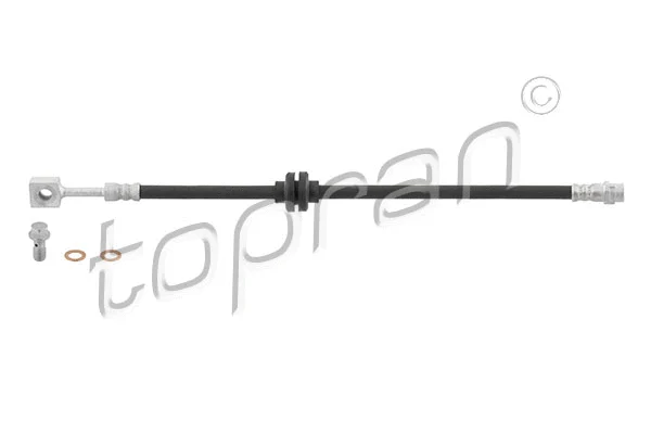 Brake Hose (208 703)
