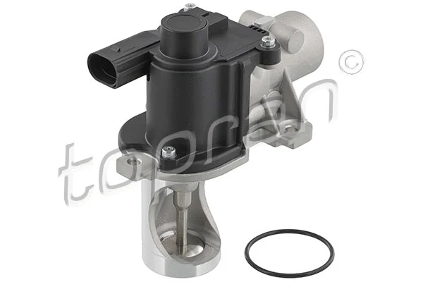 EGR Valve (115 855)