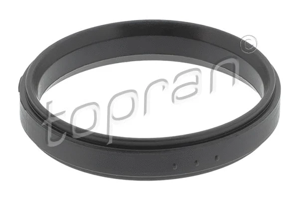 Gasket, intake manifold (722 183)