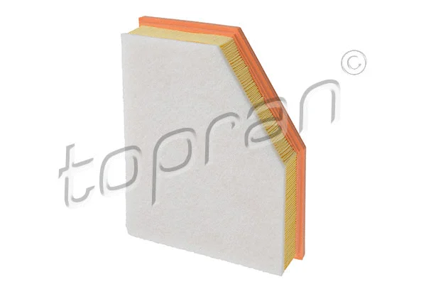Air Filter (503 017)