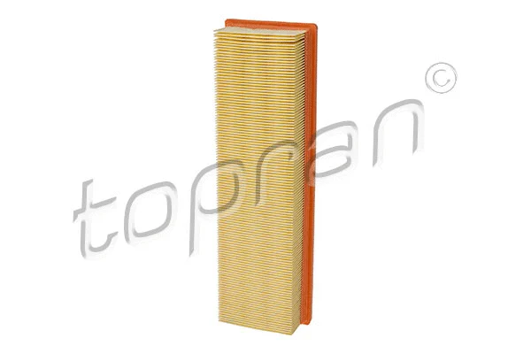 Air Filter (721 009)