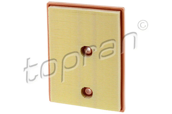 Air Filter (115 024)