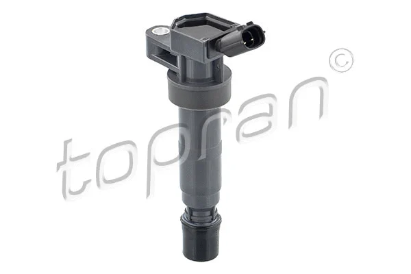 Ignition Coil (821 495)