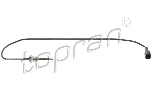 Sensor, exhaust gas temperature (305 913)