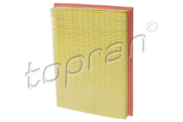 Air Filter (206 874)