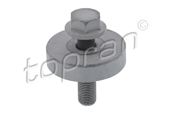 Pulley Bolt (701 616)