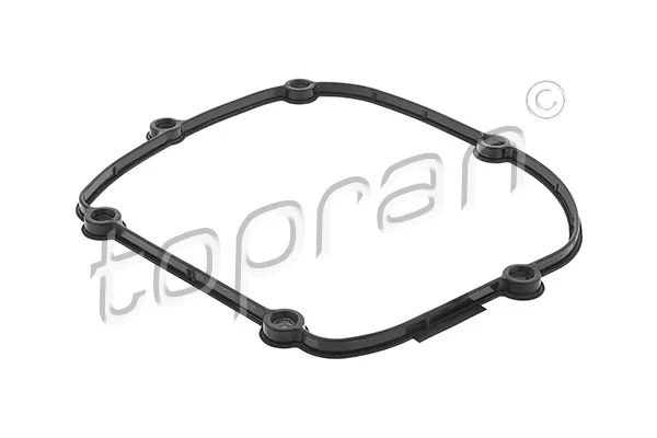 Gasket, timing case (628 303)