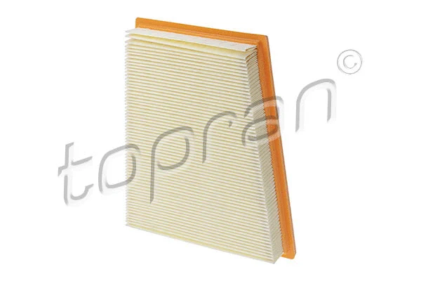 Air Filter (304 905)