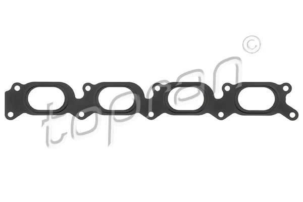 Gasket, intake manifold (109 436)