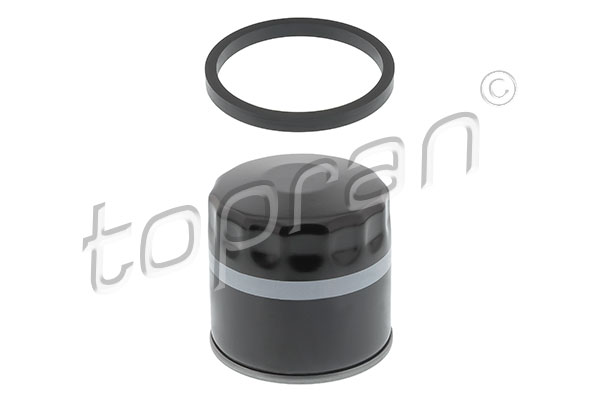 Oil Filter (300 058)