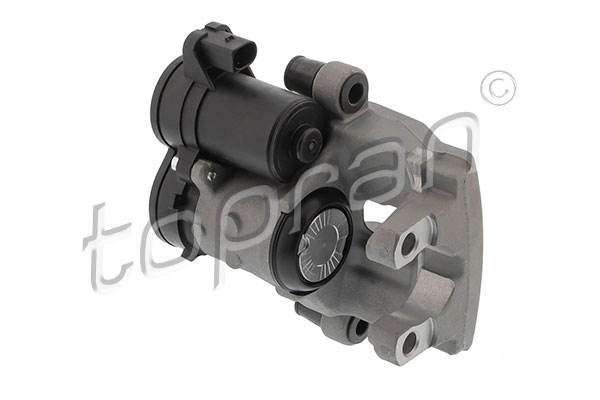 Brake Caliper (631 419)