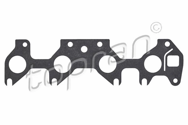 Gasket, intake manifold (201 682)