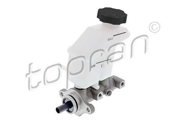 Brake Master Cylinder (821 423)