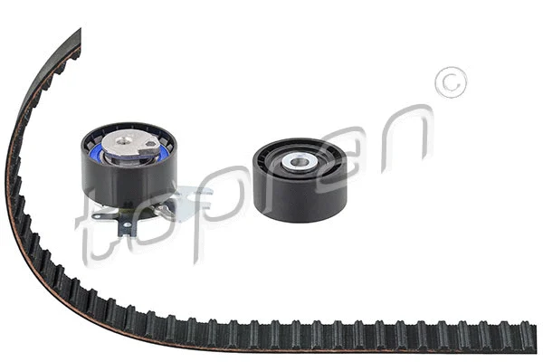 Timing Belt Kit (304 352)