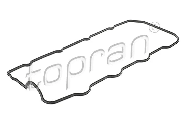 Gasket, cylinder head cover (628 325)