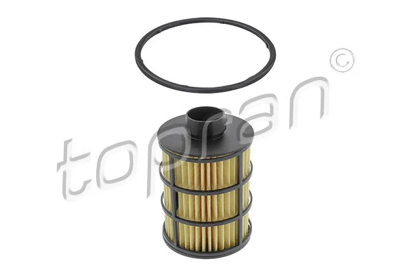 Fuel Filter (207 045)