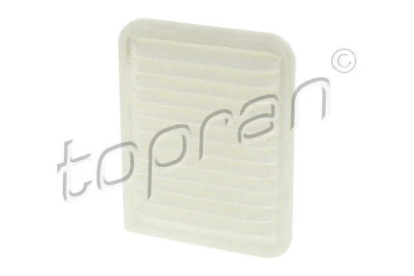 Air Filter (600 010)