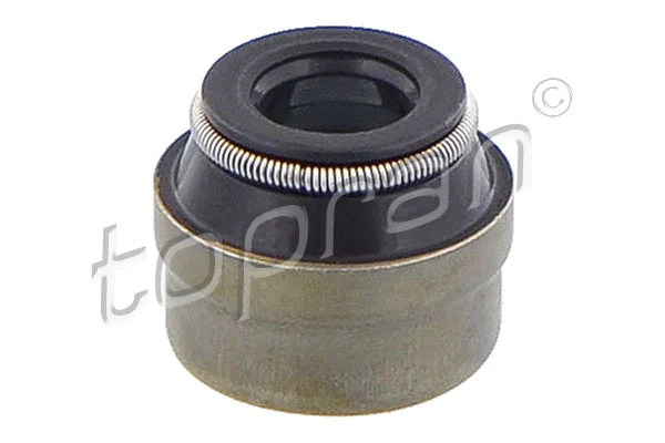 Seal Ring, valve stem (107 502)