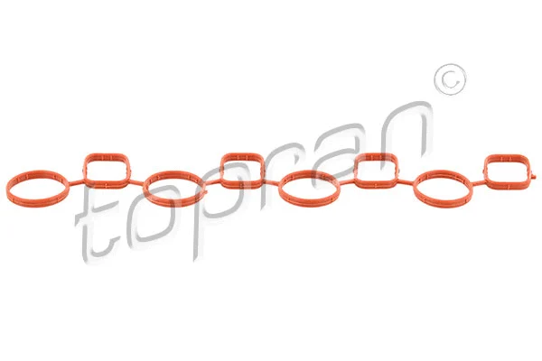 Gasket, intake manifold (113 887)