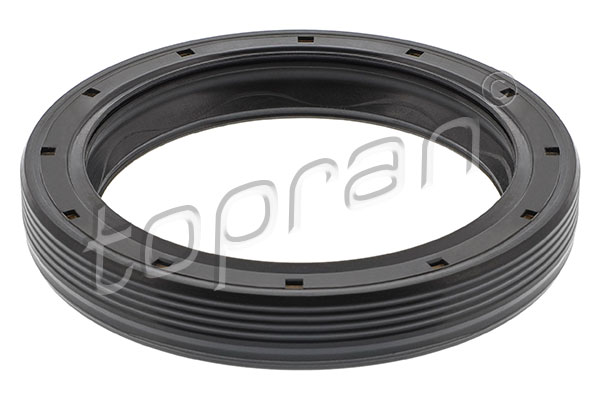 Shaft Seal, differential (100 076)
