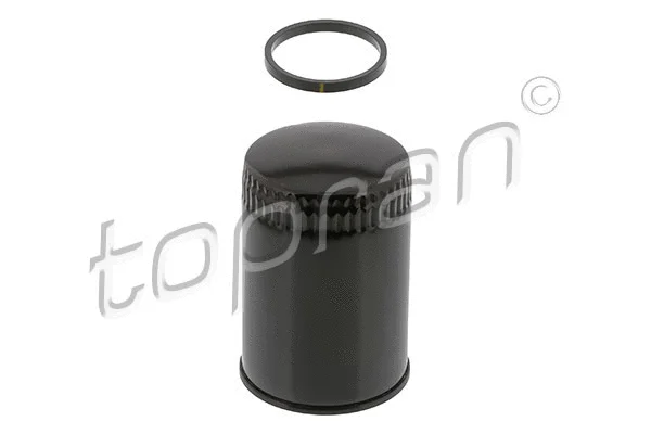 Oil Filter (108 206)