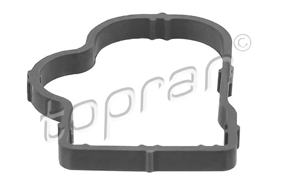 Gasket, intake manifold (207 617)