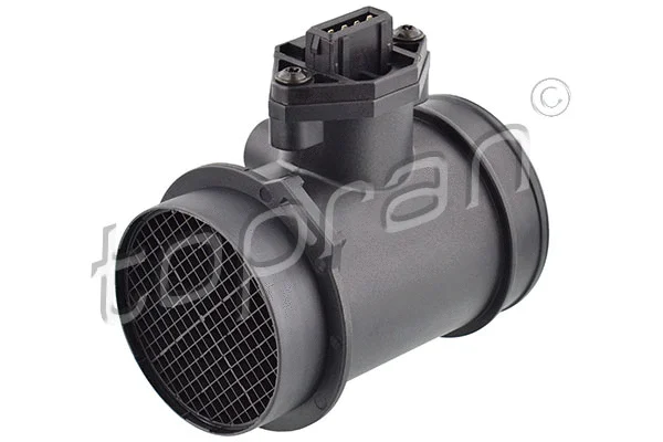 Mass Air Flow Sensor (110 889)