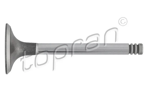 Intake Valve (101 516)