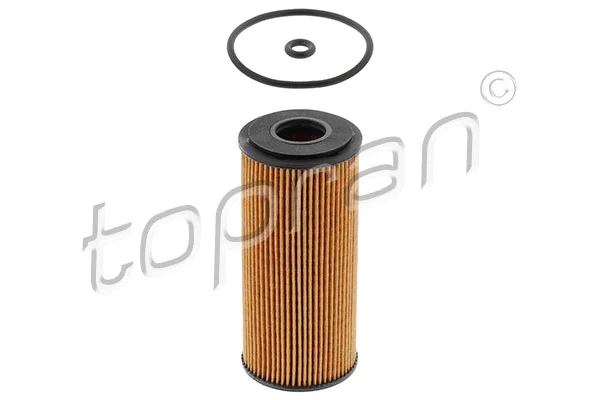 Oil Filter (401 049)