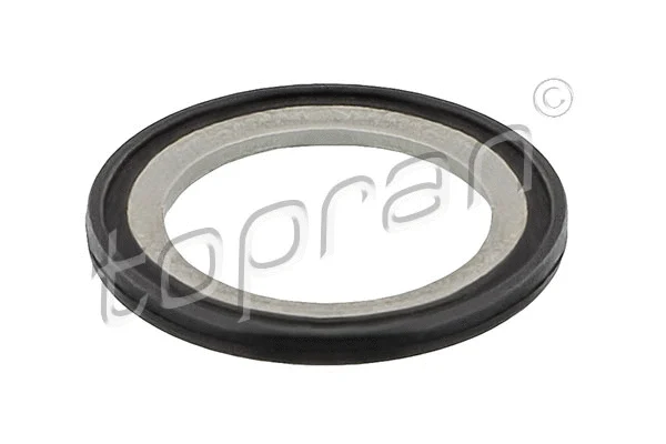 Seal Ring, oil drain plug (117 491)