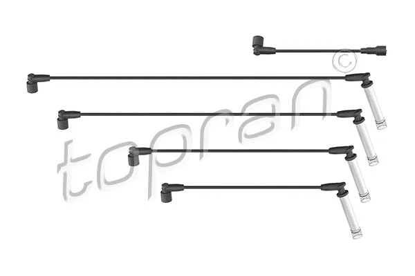 Ignition Cable Kit (202 526)