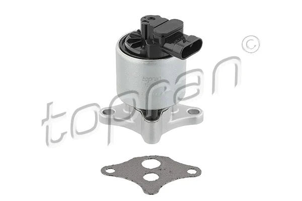 EGR Valve (721 918)