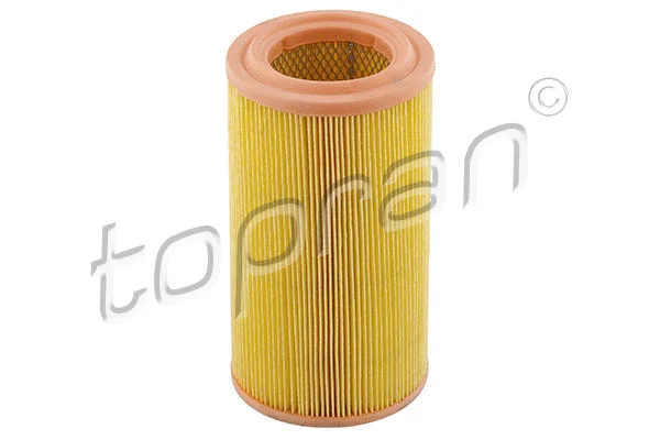 Air Filter (720 971)