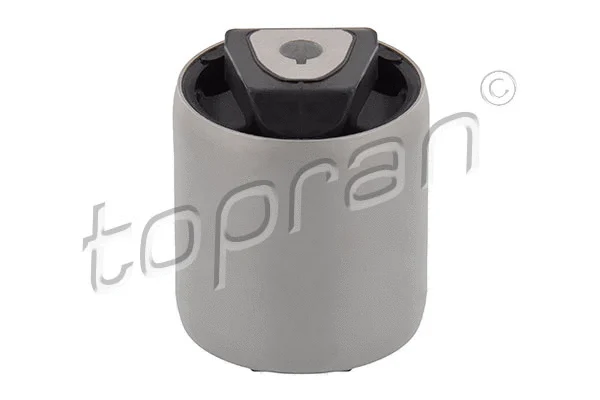 Mounting, control/trailing arm (501 874)