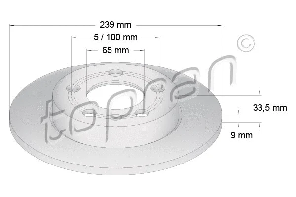 Brake Disc (109 789)