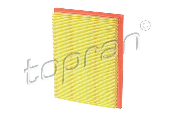 Air Filter (302 124)