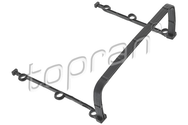 Gasket, timing case (502 193)