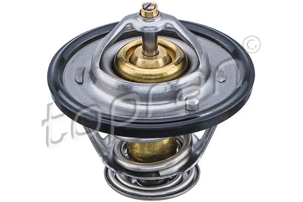 Thermostat, coolant (820 304)