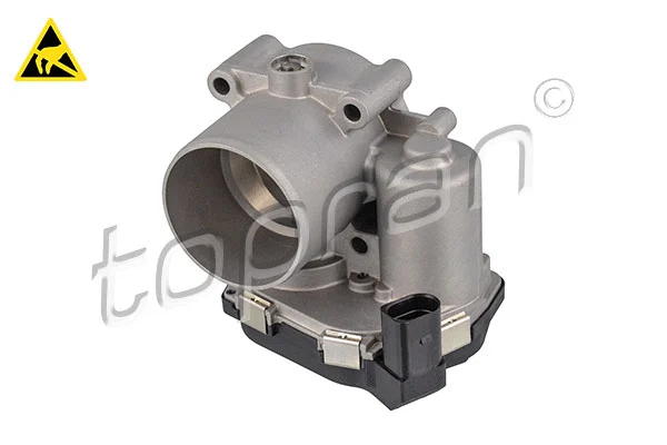 Throttle Body (117 311)