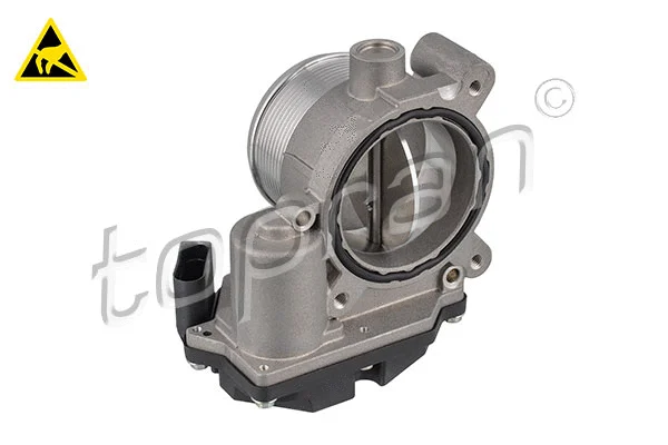 Throttle Body (117 306)