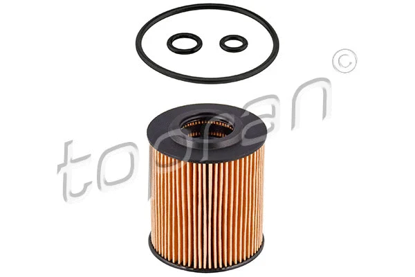 Oil Filter (113 785)