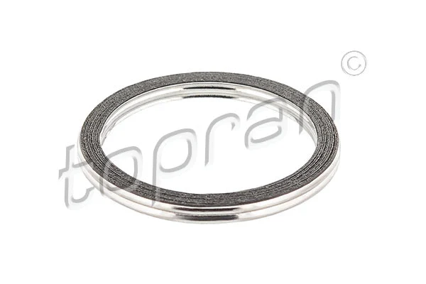 Gasket, exhaust pipe (201 747)