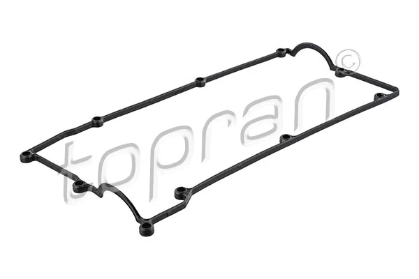 Gasket, cylinder head cover (820 249)