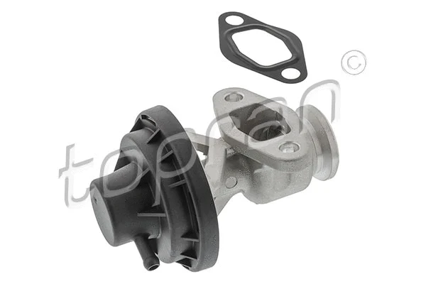 EGR Valve (639 199)